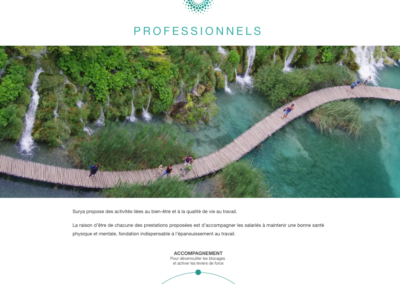 page professionnels du site bysurya.fr